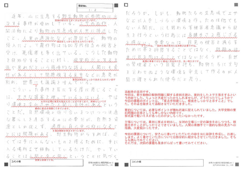 小論文添削例